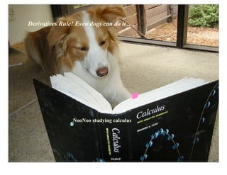Derivatives Rule! Even dogs can do it ...




                 NooNoo studying calculus
