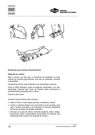 Espírito Santo
___________________________________________________________________________________________________




Acidentes por Animais Peçonhentos

Serpente ou cobras
Não é comum, se não rara, a ocorrência de acidentes no meio
urbano por animais peçonhentos, que são as serpentes, aranhas
e escorpiões.
Usualmente, temos mais acidentes com escorpiões e aranhas.
Como é difícil distinguir quais as espécies venenosas e as não-
venenosas, deve-se agir como se fossem todas venenosas e
potencialmente perigosas para a vítima.
O que se deve fazer:

A) Dentro dos primeiros trinta minutos:
• deitar a vítima o mais rápido possível, mantendo-a calma;
• manter o membro lesado num nível inferior ao do coração, para
  que o veneno inoculado e já circulante na corrente sangüínea
  tenha seu processo de difusão retardado;
• afrouxar as roupas da vítima, retirando calçados, anéis, relógio,
  prevenindo assim complicações decorrentes de edemas que
  freqüentemente ocorrem em picadas de cobras;



___________________________________________________________________________________________________
                                                                                               CST
100                                                                Companhia Siderúrgica de Tubarão
 