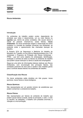 Espírito Santo
___________________________________________________________________________________________________



Riscos Ambientais




Introdução

Os ambientes de trabalho podem conter, dependendo da
atividade que neles é desenvolvida, um ou mais fatores ou
agentes que, dentro de certas condições, irão causar danos à
saúde do pessoal. Chamam-se, esses fatores, riscos
ambientais. Os riscos ambientais exigem a observação de certos
cuidados e a tomada de medidas corretivas nos ambientes, se
pretende evitar o aparecimento das chamadas doenças do
trabalho.
A Portaria 3214 de Segurança e Medicina do trabalho do
Ministério do Trabalho na sua Norma Regulamentadora de nº 09,
contempla o Programa de Proteção aos Riscos Ambientais -
PPRA - que tem como objetivo de antecipação, identificação,
avaliação e controle de todos os fatores do ambiente de trabalho
que podem causar doenças ou danos à saúde dos empregados.
Segue-se uma série de informações básicas relativas aos Riscos
Ambientais, com enumeração dos principais fatores, das
condições possíveis de risco para a saúde e das medidas gerais
para o controle desses fatores nos ambientes de trabalho.



Classificação dos Riscos

Os riscos ambientais estão divididos em três grupos: riscos
químicos, riscos físicos e riscos biológicos.

Riscos Químicos
São representados por um grande número de substâncias que
podem contaminar o ambiente de trabalho.

Riscos Físicos
São representados por fatores do ambiente de trabalho que
podem causar danos à saúde, sendo os principais: o calor, o ruído
ou barulho, as radiações, o trabalho com pressões anormais, a
vibração e a má iluminação.



___________________________________________________________________________________________________
                                                                                               CST
20                                                                 Companhia Siderúrgica de Tubarão
 