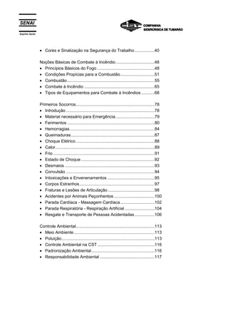Espírito Santo




                 • Cores e Sinalização na Segurança do Trabalho.................40

                 Noções Básicas de Combate à Incêndio.................................48
                 • Princípios Básicos do Fogo ................................................48
                 • Condições Propícias para a Combustão.............................51
                 • Combustão .........................................................................55
                 • Combate à Incêndio ...........................................................65
                 • Tipos de Equipamentos para Combate à Incêndios ...........68

                 Primeiros Socorros..................................................................78
                 • Introdução ..........................................................................78
                 • Material necessário para Emergência.................................79
                 • Ferimentos .........................................................................80
                 • Hemorragias.......................................................................84
                 • Queimaduras......................................................................87
                 • Choque Elétrico ..................................................................88
                 • Calor...................................................................................89
                 • Frio .....................................................................................91
                 • Estado de Choque..............................................................92
                 • Desmaios ...........................................................................93
                 • Convulsão ..........................................................................94
                 • Intoxicações e Envenenamentos ........................................95
                 • Corpos Estranhos...............................................................97
                 • Fraturas e Lesões de Articulação .......................................98
                 • Acidentes por Animais Peçonhentos ..................................100
                 • Parada Cardíaca - Massagem Cardíaca.............................102
                 • Parada Respiratória - Respiração Artificial .........................104
                 • Resgate e Transporte de Pessoas Acidentadas .................106

                 Controle Ambiental..................................................................113
                 • Meio Ambiente....................................................................113
                 • Poluição..............................................................................113
                 • Controle Ambiental na CST ................................................116
                 • Padronização Ambiental.....................................................116
                 • Responsabilidade Ambiental ..............................................117
 