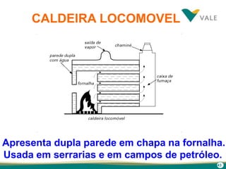 43
CALDEIRA LOCOMOVEL
Apresenta dupla parede em chapa na fornalha.
Usada em serrarias e em campos de petróleo.
 