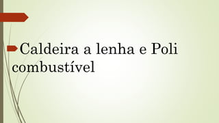 Caldeira a lenha e Poli
combustível
 