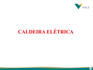 100
CALDEIRA ELÉTRICA
 
