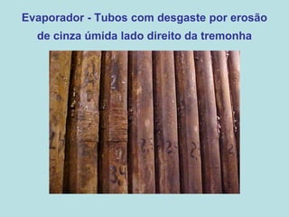 Evaporador - Tubos com desgaste por erosão
de cinza úmida lado direito da tremonha
 