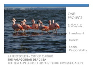 LAKE EPECUEN – CITY OF CARHUE
THE PATAGONIAN DEAD SEA
THE BEST KEPT SECRET FOR PORTFOILIO DIVERSIFICATION
ONE
PROJECT
3 GOALS
•  Investment
•  Health
•  Social
Responsibility
 