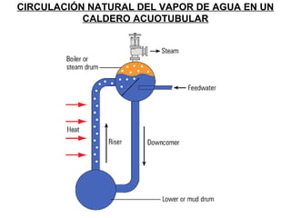 CIRCULACIÓN NATURAL DEL VAPOR DE AGUA EN UN 
CALDERO ACUOTUBULAR 
 