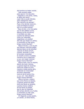 del hombre es haber nacido. 
Sólo quisiera saber 
para apurar mis desvelos 
--dejando a una parte, cielos, 
el delito del nacer-, 
¿qué más os pude ofender, 
para castigarme más? 
¿No nacieron los demás? 
Pues si los demás nacieron, 
¿qué privilegios tuvieron 
que no yo gocé jamás? 
Nace el ave, y con las galas 
que le dan belleza suma, 
apenas es flor de pluma, 
o ramillete con alas, 
cuando las etéreas salas 
corta con velocidad, 
negándose a la piedad 
del nido que dejan en calma; 
¿y teniendo yo más alma, 
tengo menos libertad? 
Nace el bruto, y con la piel 
que dibujan manchas bellas, 
apenas signo es de estrellas 
-gracias al docto pincel-, 
cuando, atrevido y crüel, 
la humana necesidad 
le enseña a tener crueldad, 
monstruo de su laberinto; 
¿y yo, con mejor instinto, 
tengo menos libertad? 
Nace el pez, que no respira, 
aborto de ovas y lamas, 
y apenas bajel de escamas 
sobre las ondas se mira, 
cuando a todas partes gira, 
midiendo la inmensidad 
de tanta capacidad 
como le da el centro frío; 
¿y yo, con más albedrío, 
tengo menos libertad? 
Nace el arroyo, culebra 
que entre flores se desata, 
y apenas sierpe de plata, 
entre las flores se quiebra, 
cuando músico celebra 
de las flores la piedad 
que le dan la majestad 
del campo abierto a su huída; 
¿y teniendo yo más vida, 
tengo menos libertad? 
En llegando a esta pasión, 
un volcán, un Etna hecho, 
 