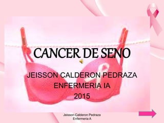 CANCER DE SENO
JEISSON CALDERON PEDRAZA
ENFERMERIA IA
2015
Jeisson Calderon Pedraza
Enfermeria A
 