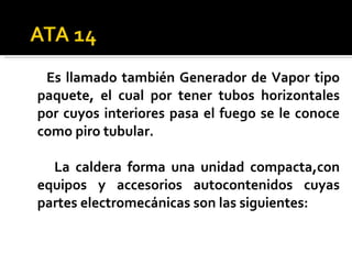 Es llamado también Generador de Vapor tipo paquete, el cual por tener tubos horizontales por cuyos interiores pasa el fuego se le conoce como piro tubular. La caldera forma una unidad compacta,con equipos y accesorios autocontenidos cuyas partes electromecánicas son las siguientes: 