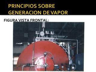 FIGURA VISTA FRONTAL: 