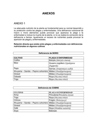 ANEXOS
ANEXO 1
La adecuada nutrición de la planta es fundamental para su normal desarrollo y
su protección contra las plagas y enfermedades. Una deficiencia nutricional de
macro o micro elementos puede provocar que aparezca la plaga o la
enfermedad e incluso la muerte de la planta, si no se realiza la corrección de la
deficiencia a tiempo. Igualmente un exceso de nutrientes puede provocar la
aparición de plagas y enfermedades.
Relación directa que existe entre plagas y enfermedades con deficiencias
nutricionales en algunos cultivos
Deficiencia de BORO
CULTIVO PLAGA O ENFERMEDAD
Coliflor Botrytis ( )
Maíz Gusano cogollero (
Papa Sarnas )
Ahuyama – Sandia – Pepino cohombro Mildeo (
Girasol Mildeo ( )
Cebada Roya ( )
Trigo Roya ( )
Deficiencia de COBRE
CULTIVO PLAGA O ENFERMEDAD
Arroz Piricularia( )
Trigo Roya ( )
Cítricos Pulgón .)
Ahuyama – Sandia – Pepino cohombro Mildeo ( )
Girasol Mildeo ( )
Café Roya ( )
Soya Babosas
 