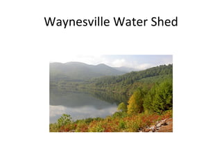 Waynesville Water Shed 