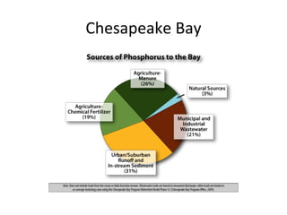 Chesapeake Bay 