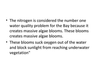 The nitrogen is considered the number one water quality problem for the Bay because it creates massive algae blooms. These blooms creates massive algae blooms.  These blooms suck oxygen out of the water and block sunlight from reaching underwater vegetation" 