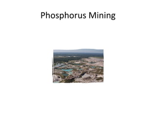 Phosphorus Mining 