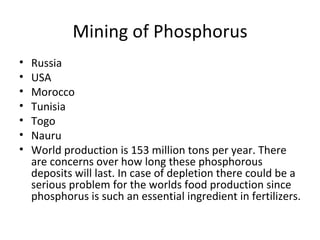 Mining of Phosphorus Russia USA Morocco Tunisia Togo Nauru World production is 153 million tons per year. There are concerns over how long these phosphorous deposits will last. In case of depletion there could be a serious problem for the worlds food production since phosphorus is such an essential ingredient in fertilizers. 