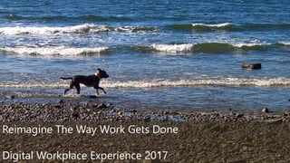 ©2017 Avanade Inc. All Rights Reserved.
1
Reimagine The Way Work Gets Done
Digital Workplace Experience 2017
 