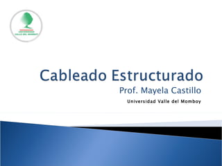 Prof. Mayela Castillo Universidad Valle del Momboy 