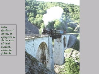 Intre Garliste si Anina, in apropiere de Anina este ultimul viaduct, viaductul   Schlucht.   