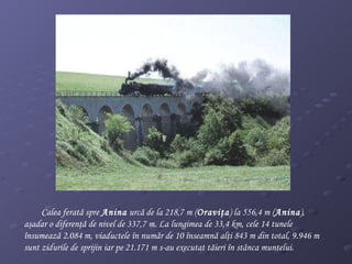 Calea ferată spre  Anina  urcă de la 218,7 m ( Oraviţa ) la 556,4 m ( Anina ), aşadar o diferenţă de nivel de 337,7 m. La lungimea de 33,4 km, cele 14 tunele însumează 2.084 m, viaductele în număr de 10 înseamnă alţi 843 m din total, 9.946 m sunt zidurile de sprijin iar pe 21.171 m s-au executat tăieri în stânca muntelui.  