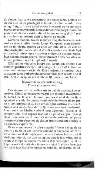 de cleştar. Aşa cum e prezentată în această carte, peştera de
cleştar este un loc privilegiat în interiorul inimii omului. Este
refugiul sigur, în care există o voce înţeleaptă ce nu cunoaşte
teama, unde frămîntările lumii exterioare nu pot pătrunde. în '
peştera de cleştar a existat dintotdeauna un mag şi va fi me­
reu acolo — nu trebuie decît să intri şi să asculţi.
Oamenii moderni trăiesc în lumea magului în aceeaşi mă­
sură ca şi generaţiile trecute. Joseph Campbell, marele profe­
sor de mitologie, spunea că orice om care stă la un colţ de
stradă aşteptînd ca semaforul să indice verde aşteaptă de fapt
să păşească într-o lume a faptelor eroice şi a acţiunii mitice,
însă noi nu sesizăm ocazia. Traversăm fără a observa sabia în-
fiptă-n piatră ce se află după colţul străzii.
Călătoria în miraculos începe aici. Acum este cel mai bun
moment pentru a începe. Calea magului nu există în timp —
este pretutindeni şi niciunde. Este a oricui şi a nimănui. Aşa
că această carte vorbeşte despre a pretinde ceea ce este deja al
tău. După cum spune cea dintîi învăţătură a primei lecţii:
în fiecare dintre noi există un mag.
El vede şi cunoaşte totul.
Este singura afirmaţie din carte ce trebuie acceptată pe în­
credere. Odată ce descoperi magul din interior, învăţăturile
se succed de la sine. De mulţi ani, acest mod de învăţare
spontană s-a aflat în centrul vieţii mele de fiecare zi; am pri­
vit şi am aşteptat să aud ce are de spus călăuza interioară.
Nici o altă modalitate de învăţare nu este mai fascinantă.
L-am auzit pe Merlin vorbind prin zgomotul asurzitor al
aeroportului, prin copacii foşnind de pe aleea spre plajă şi
chiar prin televizorul meu. O staţie de autobuz se poate
transforma într-o peşteră de cleştar atunci cînd eşti deschis la
o asemenea experienţă.
De ce avem nevoie de calea magului? Avem nevoie de ea
pentru a ne ridica din lucrurile comune şi din banalitate către
un anume mod de înţelegere, pe care sîntem înclinaţi să îl
atribuim mitului, dar care de fapt ne este la îndemînă, aici şi
acum. A începe să trăieşti înseamnă să-ţi cucereşti dreptul de
a spune orice doreşti, de a fi ceea ce vrei să fii şi de a face ceea
ce vrei să faci. Camelot reprezintă simbolul unei astfel de eli-
 