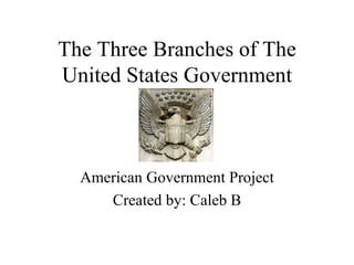 The Three Branches of The United States Government American Government Project Created by: Caleb B 