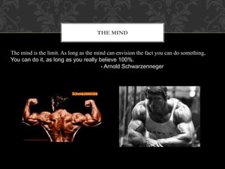 The Mind
The mind is the limit. As long as the mind can envision the fact you can do something,
You can do it, as long as you really believe 100%.
- Arnold Schwarzenneger
THE MIND
 