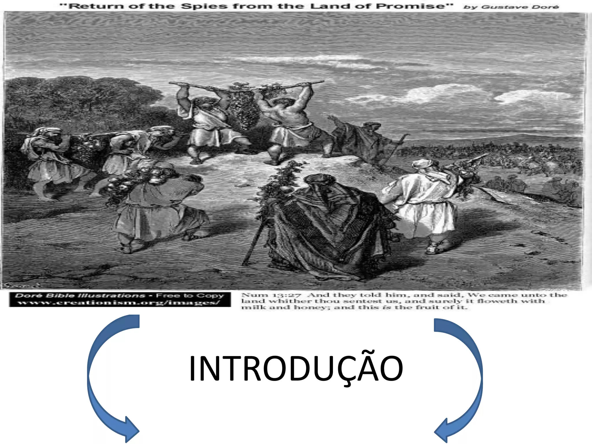 INTRODUÇÃO
 