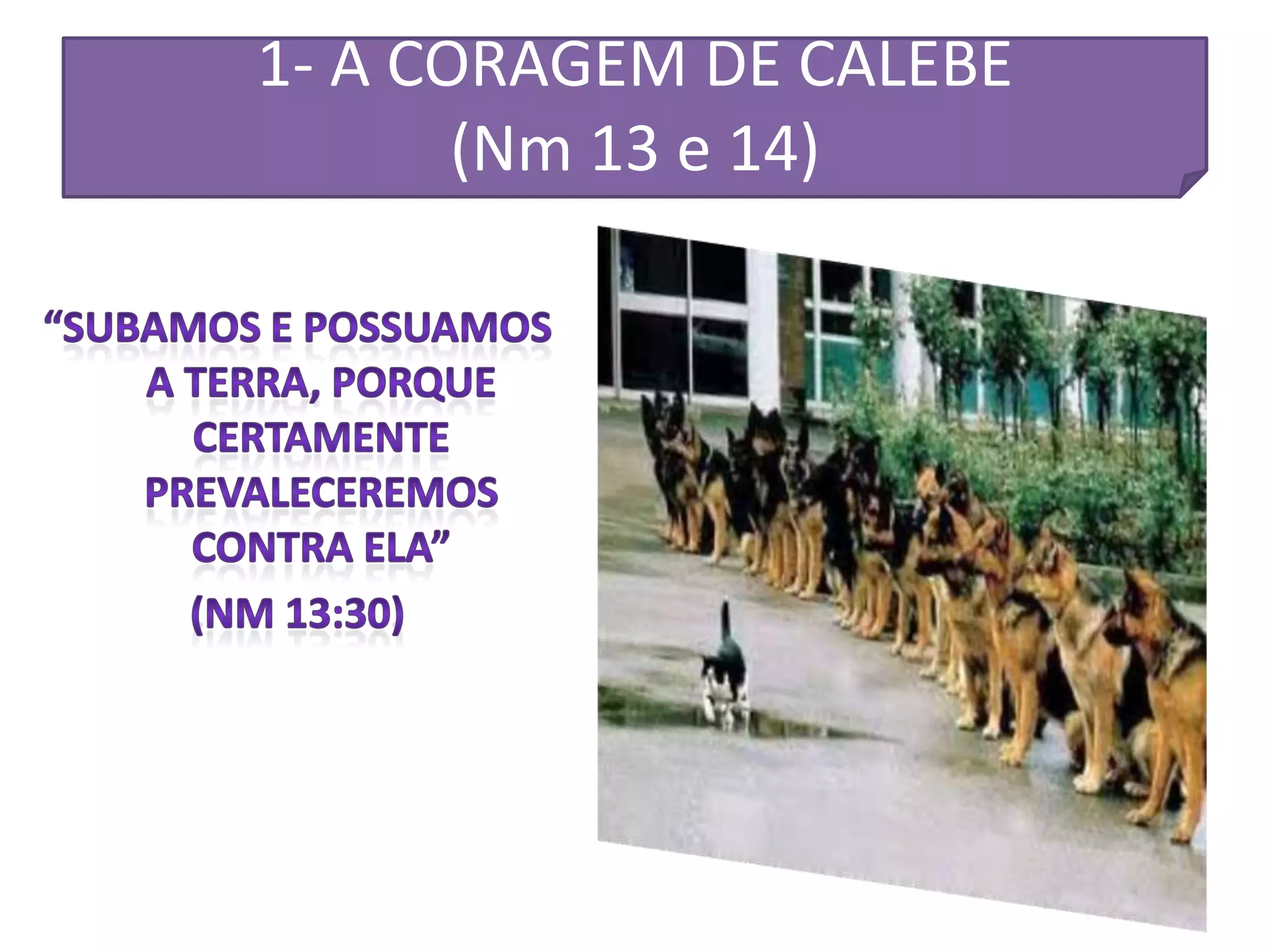 1- A CORAGEM DE CALEBE
       (Nm 13 e 14)
 