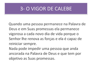 3- O VIGOR DE CALEBE
 