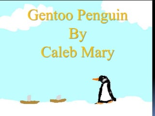 Gentoo Penguin
     By
 Caleb Mary
 