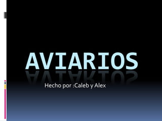 AVIARIOS
Hecho por :Caleb y Alex
 