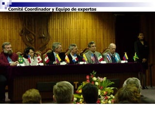 Comité Coordinador y Equipo de expertos   