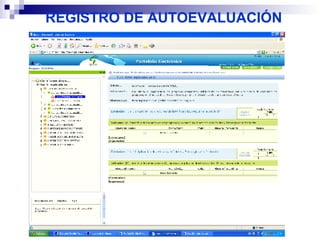 REGISTRO DE AUTOEVALUACIÓN 