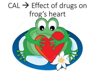 CAL  Effect of drugs on
frog’s heart
 