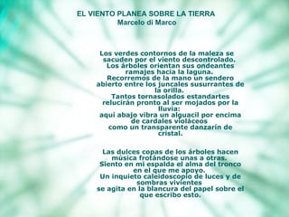 EL VIENTO PLANEA SOBRE LA TIERRA   Marcelo di Marco Los verdes contornos de la maleza se sacuden por el viento descontrolado.  Los árboles orientan sus ondeantes ramajes hacia la laguna.  Recorremos de la mano un sendero abierto entre los juncales susurrantes de la orilla.  Tantos tornasolados estandartes relucirán pronto al ser mojados por la lluvia:  aquí abajo vibra un alguacil por encima de cardales violáceos  como un transparente danzarín de cristal. Las dulces copas de los árboles hacen música frotándose unas a otras.  Siento en mi espalda el alma del tronco en el que me apoyo.  Un inquieto caleidoscopio de luces y de sombras vivientes  se agita en la blancura del papel sobre el que escribo esto. 