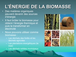 L'ÉNERGIE DE LA BIOMASSE Des matières organiques peuvent devenir des sources d’énergie Il faut brûler la biomasse pour obtenir l’énergie thermique et puis la transformer en électricité Nous pouvons utiliser comme biomasse : Les déchets des forêts et les déchets agricoles Les plantations énergétiques (le soja) Les déchets solides municipaux   
