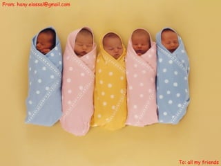 From: hany.elassal@gmail.com To: all my friends 