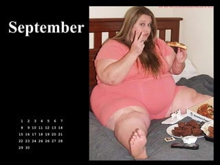 September 1  2  3  4  5  6  7 8  9 10 11 12 13 14 15 16 17 18 19 20 21 22 23 24 24 26 27 28 29 30 