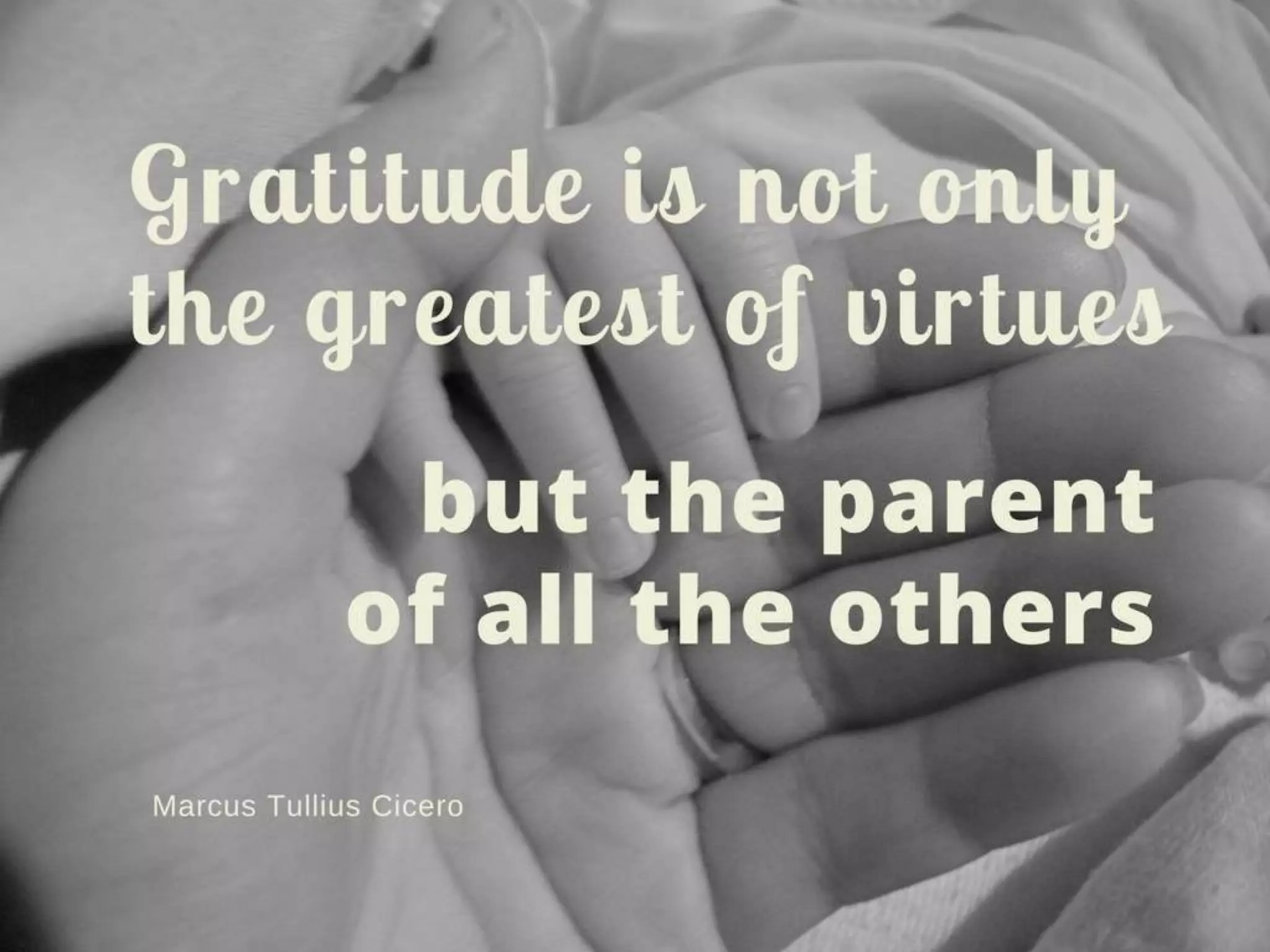 Simple advice (Diplo calendar 2018)