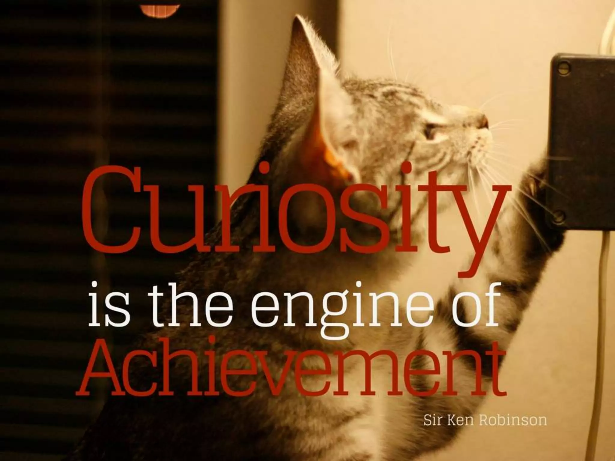 Simple advice (Diplo calendar 2018)