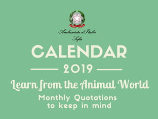 2019
Monthly Quotations
to keep in mind
Learn from the Animal World
CALENDAR
 