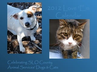 2012 Love ‘Em Calendar Celebrating SLO County  Animal Services’ Dogs & Cats 