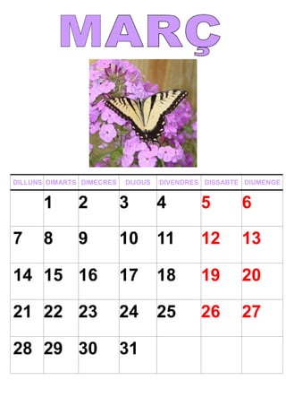 DILLUNS DIMARTS DIMECRES DIJOUS DIVENDRES DISSABTE DIUMENGE
1 2 3 4 5 6
7 8 9 10 11 12 13
14 15 16 17 18 19 20
21 22 23 24 25 26 27
28 29 30 31
 