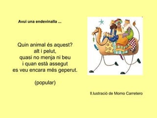 Avui una endevinalla ...




  Quin animal és aquest?
         alt i pelut,
   quasi no menja ni beu
    i quan està assegut
es veu encara més geperut.

           (popular)
                             Il.lustració de Momo Carretero
 