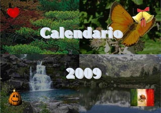 Calendario

   2009
 