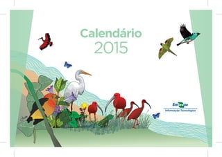 Programação visual e ilustrações científicas de Calendário - Embrapa com plantas e pássaros em extinção