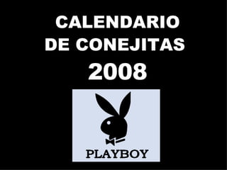 CALENDARIO DE CONEJITAS  2008 
