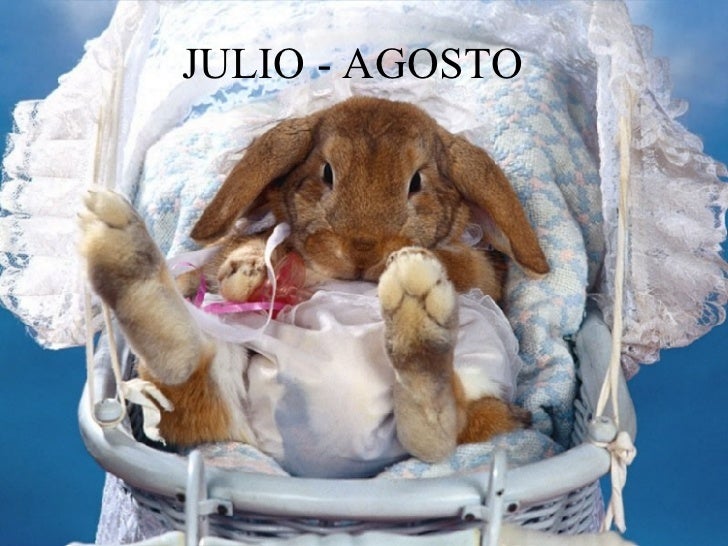 Calendario Conejitas 2008 calendario julio agosto 2008