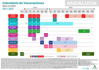 Calendario vacunaciones-2021-22